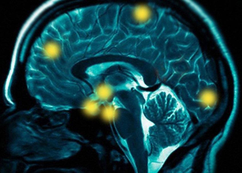 Neuroscience Program image.