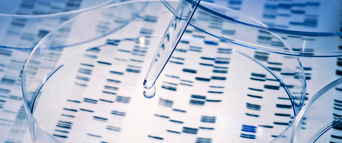 Genetics &amp; Genome Sciences image.