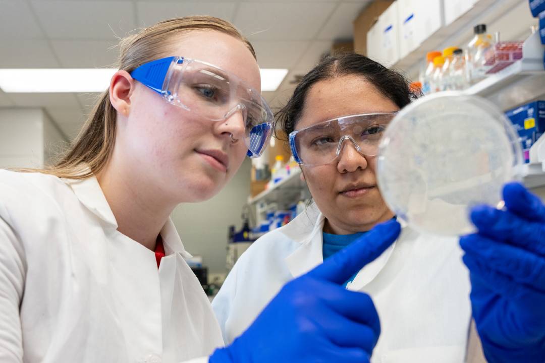 two students in white labcoats observing a petri dish while holding it