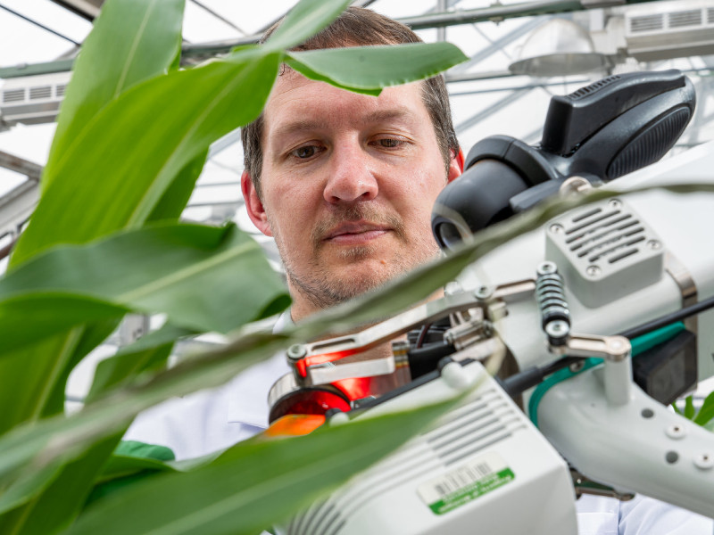scientist analyzing a plant with specialized equipment