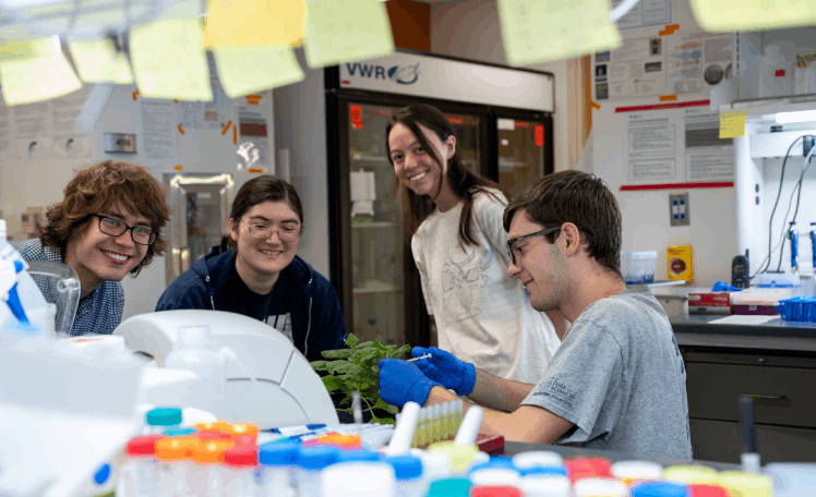 Undergraduate Programs Photo of Students in class