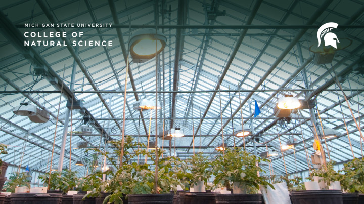 College of Natural Science Virtual background of a greenhouse interior