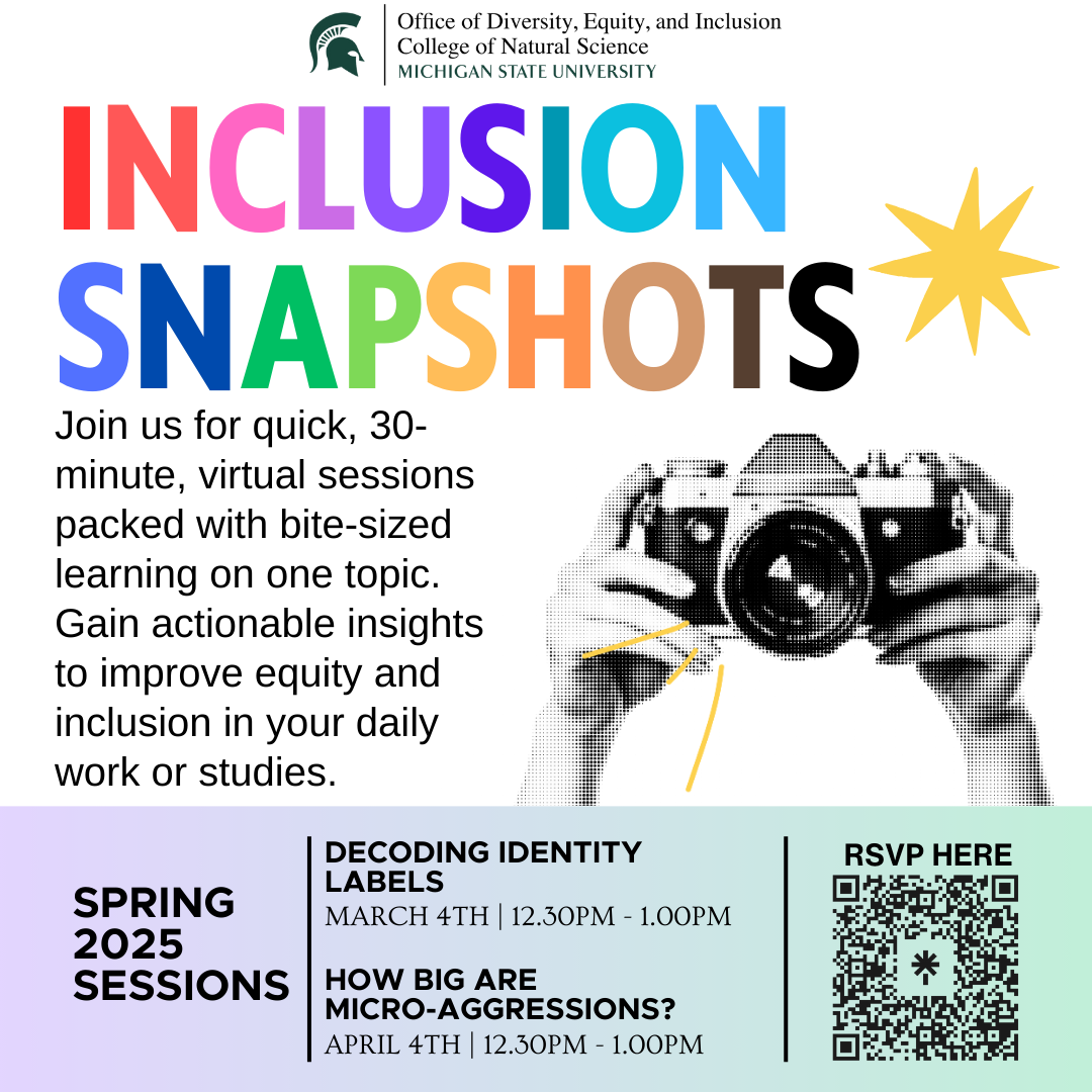 Inclusion Snapshots flyer