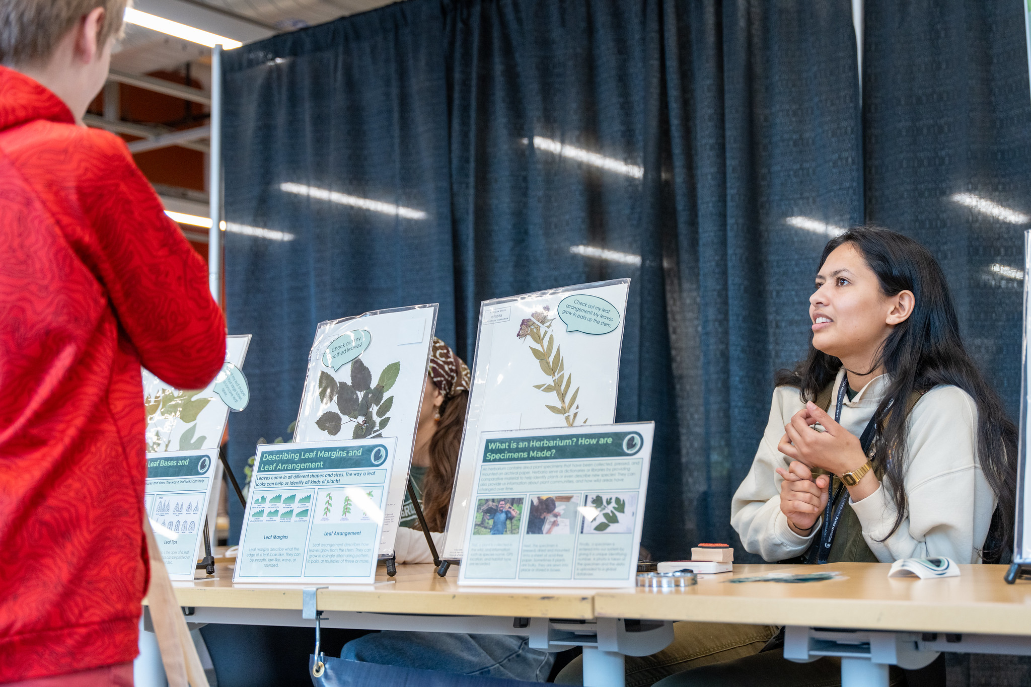 Person sitting at a table with stand up displays of plant leaves