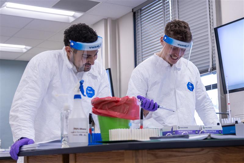 Undergraduate Programs Photo of Students in class