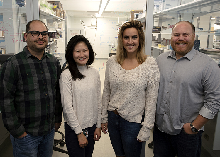 Image of Andrew Eagle and A.J. Robison with graduate students Chiho Sugimoto and Ivana Lakic standing in the Robison lab.