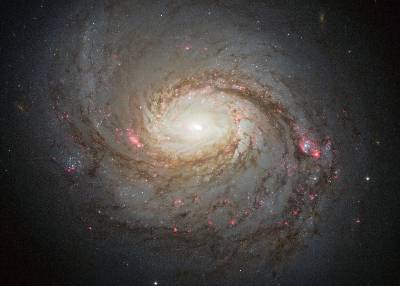 A Hubble Space Telescope image shows the galaxy NGC 1068. It’s a spiral galaxy, with bright white and red spots within its whorls, which also contain dark brownish clouds. 