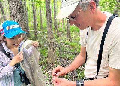 Postdoctoral fellow Cinnamon Mittan (left) and Nick Haddad in a wooded area examining a federally endangered Mitchell’s Satyr Butterfly. 