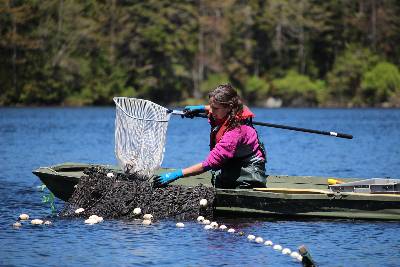 Mariah Meek in a kayak on a lake using a fishing net to collect trout samples.
