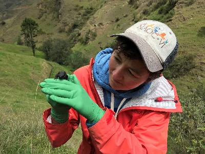 Sarah Fitzpatrick in the field holding a recently discovered species of Harlequin frog (Atelopus ignescens) in the Ecuadorian Andes. 
