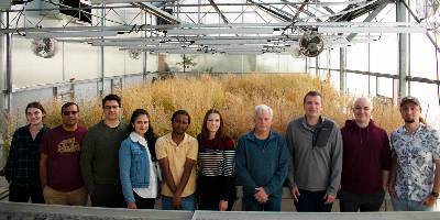 A group photo of MSU’s camelina research team standing in a greenhouse with green and gold camelina plants with brush-like tips growing in the background. 