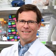 Eran Andrechek is pictured in his laboratory. He hopes that his research will establish a role for the E2F5 gene in mammary gland development. 