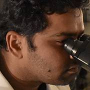 Deepak Bhandari, a postdoc in the Brandizzi lab, uses microscopes to study Arabidopsis thaliana for his research under this grant. 