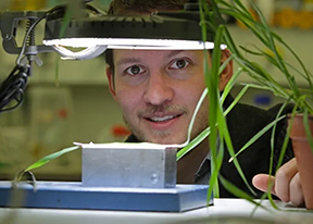 An image of Berkely Walker in his lab examining a plant specimen under a bright light.