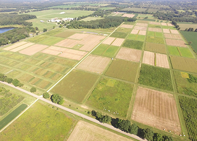 Drone image of the KBS LTER's main cropping system experiment.