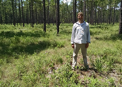 MSU plant biologist Lars Brudvig, stands among green undergrowth with the brown, bare trunks and green tops of longleaf pines in the background.