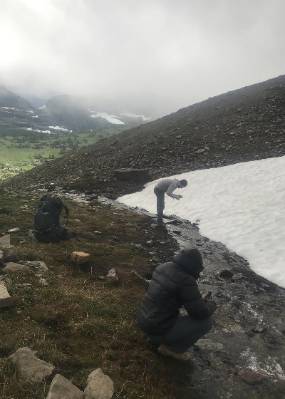 Alisha Shah and Scott Hotaling at a meltwater stream in Glacier National Part looking for stoneflies.