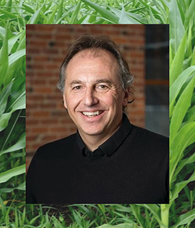 Headshot of Bruno Basso with a corn field backdrop.