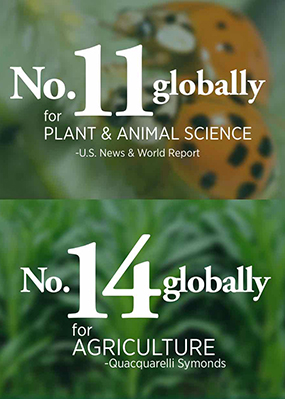 info graphic noting that MSU is ranked No.14 globally for agriculture and No. 11 for plant and animal science. 