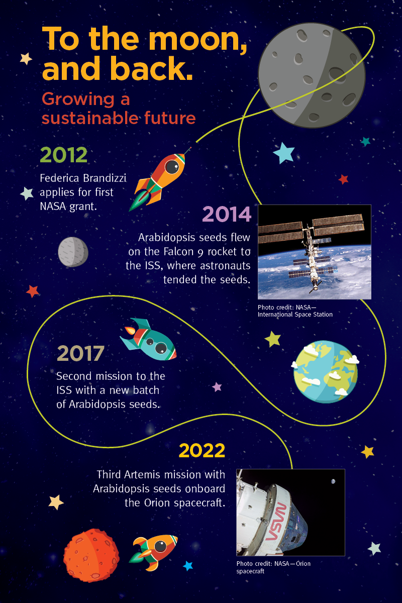 graphic timeline of seeds in space 2012 to 2022