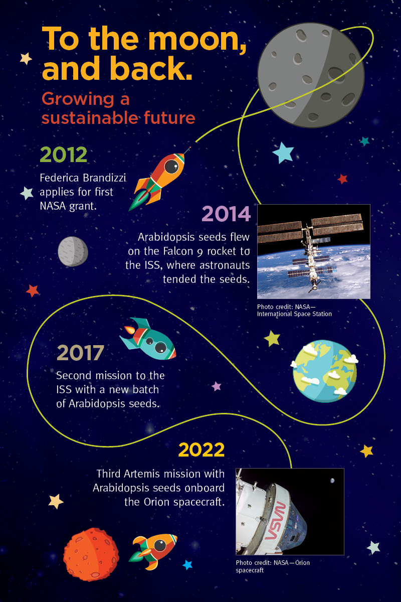 2023 03 Timeline Infographic Plants In Space 