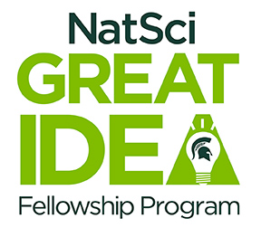 Great IDEA Fellowship Program logo. Stacked words with a lightbulb inside the letter "a" to signify idea.