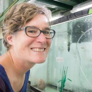 Photo of Janette Boughman in her lab next to one of her stickleback aquariums.
