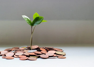 Image of a young plant with pennies, nickels and other coins around the base to represent seed grant money.