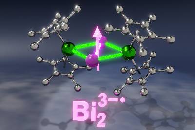 An illustration features lanthanide ions, each encased by two hydrocarbon rings, are bridged through a Bi23−• radical anion. The spin of the Bi23−• radical is key for the magnetic communication between the lanthanide ions.