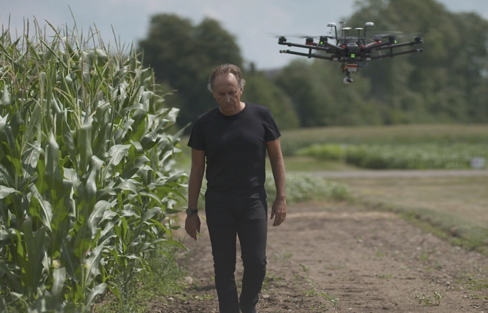 Image of MSU ecosystems scientist Bruno Basso walking in a corn field with a drone flying behind him.