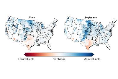 A figure showing a U.S. map of projected changes in the value (less valuable, no change, more valuable) of crop irrigation for corn (left) and soybeans (right) by the middle of the 21st century with currently irrigated areas outlined in black.