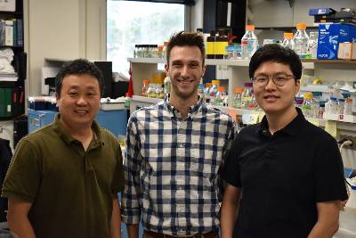 : Michigan State University researchers Dae Kwan Ko, Ethan Thibault and Joo Yong Kim (left to right) stand in the Brandizzi laboratory. 