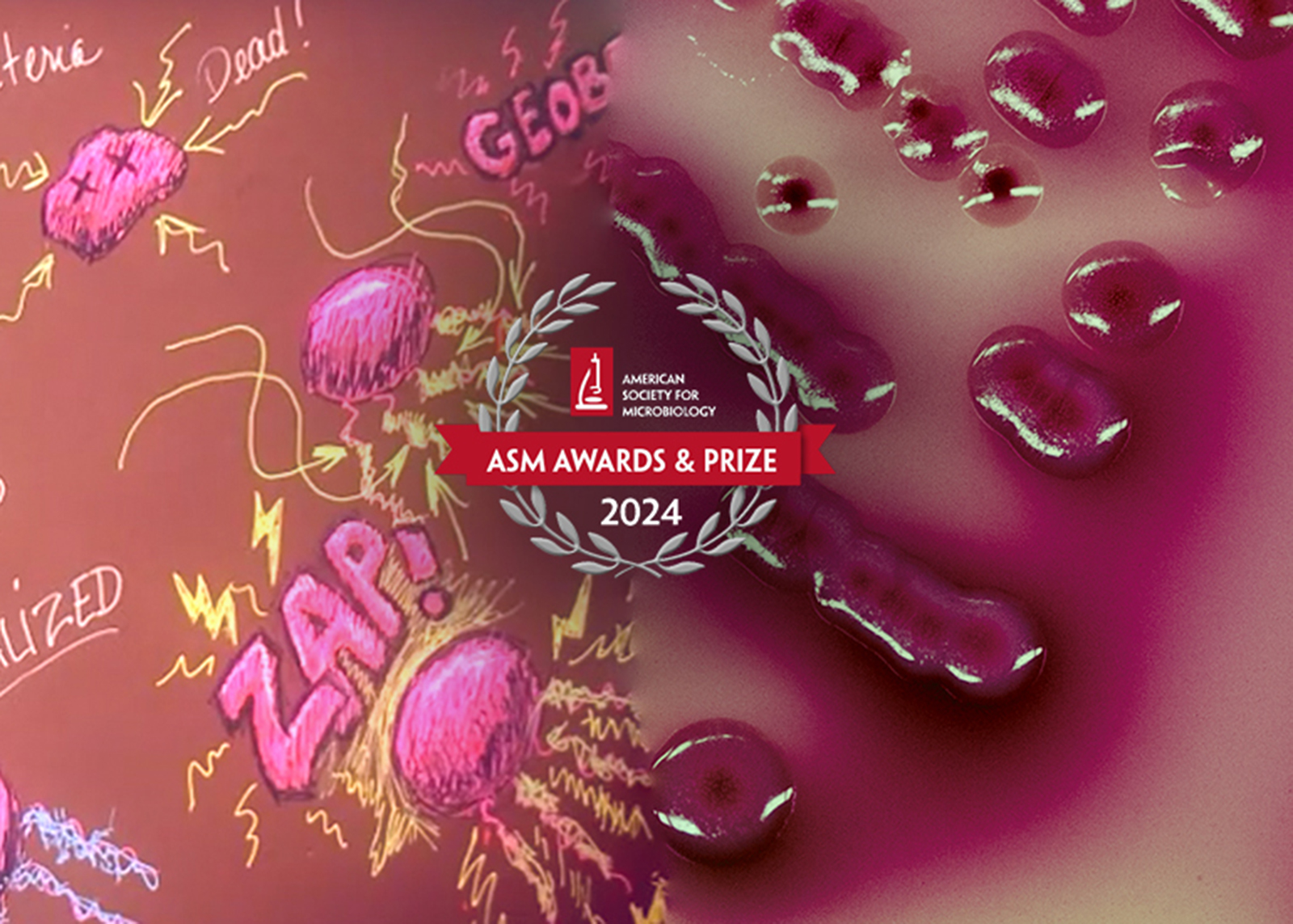 NatSci Researchers Receive Prestigious American Society For natsci-researchers-receive-prestigious-american-society-for