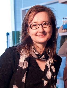 Headshot of Gemma Reguera, professor, Department of Microbiology and Moelcular Genetics, standing in her lab.