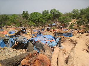 Several small structures made from thatch and tarps cover the openings to mining shafts in a Senegalese mining community.