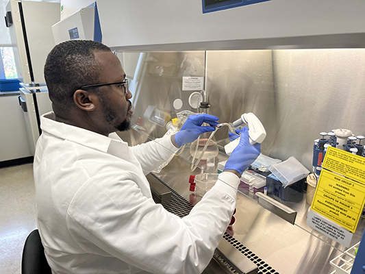 Doctoral student Chinedum Udekwu conducting research in the Ogunwobi Laboratory. 