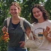 Michigan State University RISE students volunteer in the Bailey GREENhouse every Friday as a way to build community and learn about sustainable food and farming through direct experience.