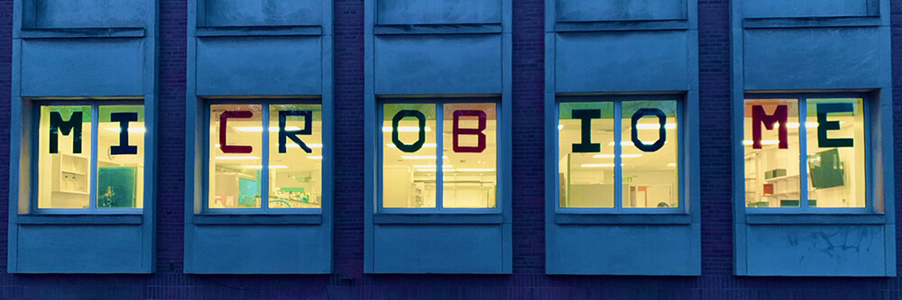 Exterior photo of five laboratory windows in the evening. The windows glow yellow from within. From left to right, large letters have been taped up, spelling MI CR OB IO ME.