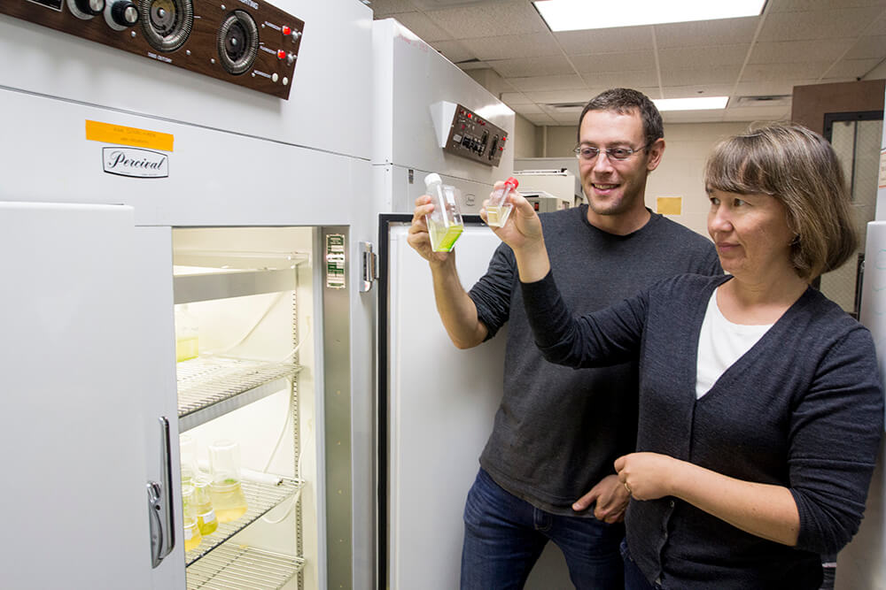 Two researchers — Christopher Klausmeier (left) and Elena Litchman (right) — have opened a research refrigerator to remove and examine two clear culture flasks that contain a small amount of water that’s tinged green by the plankton inside.