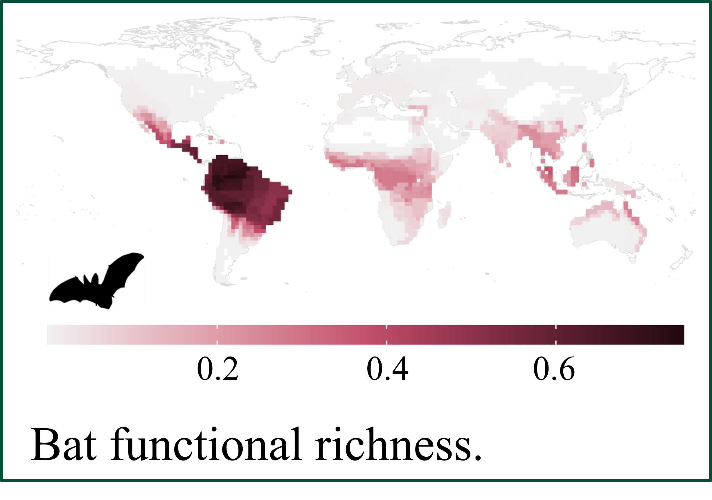 A heat map shows that, especially near the equator, bats have a high functional richness Western Hemisphere and a lower functional richness in Eastern Hemisphere. 
