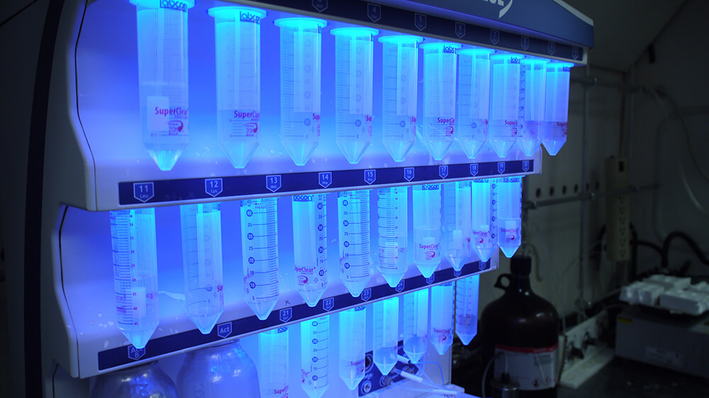Three rows of clear centrifuge tubes are held in place by a chemical synthesizer inside a fume hood. The instrument illuminates the tubes with a blue light.