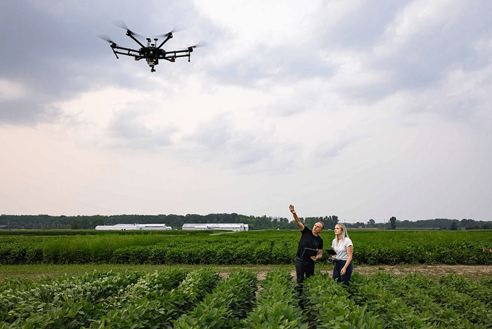 Bruno Basso stands with a student in an agricultural field looking up at a drone taking remote measurements.