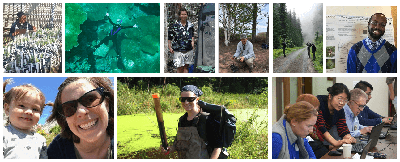 A collage shows scientists in a variety of settings: under water, working on a computer in a classroom, standing at a forest's edge, posing with a child, and even under water.