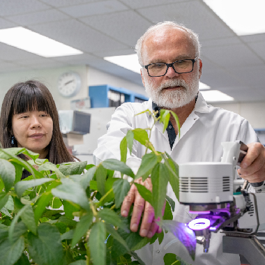 A graduate student and a professor put a soybean leaf in a piece of equipment.