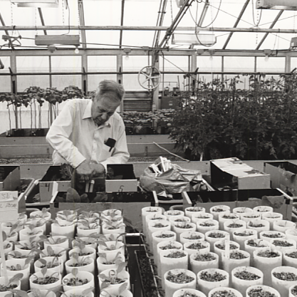 A black and white photo of a man working with potted plants in a greenhouse. 