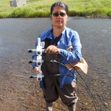 Three oxygen sensors prior to burial in the sediment of the stream bed to monitor dissolved oxygen dynamics continuously over 1.5 years at depths of 10 cm, 20 cm and 35 cm below the East River.