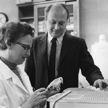 Loretta Van Camp and Barnett Rosenberg. Photo courtesy MSU Archives and Historical Collections