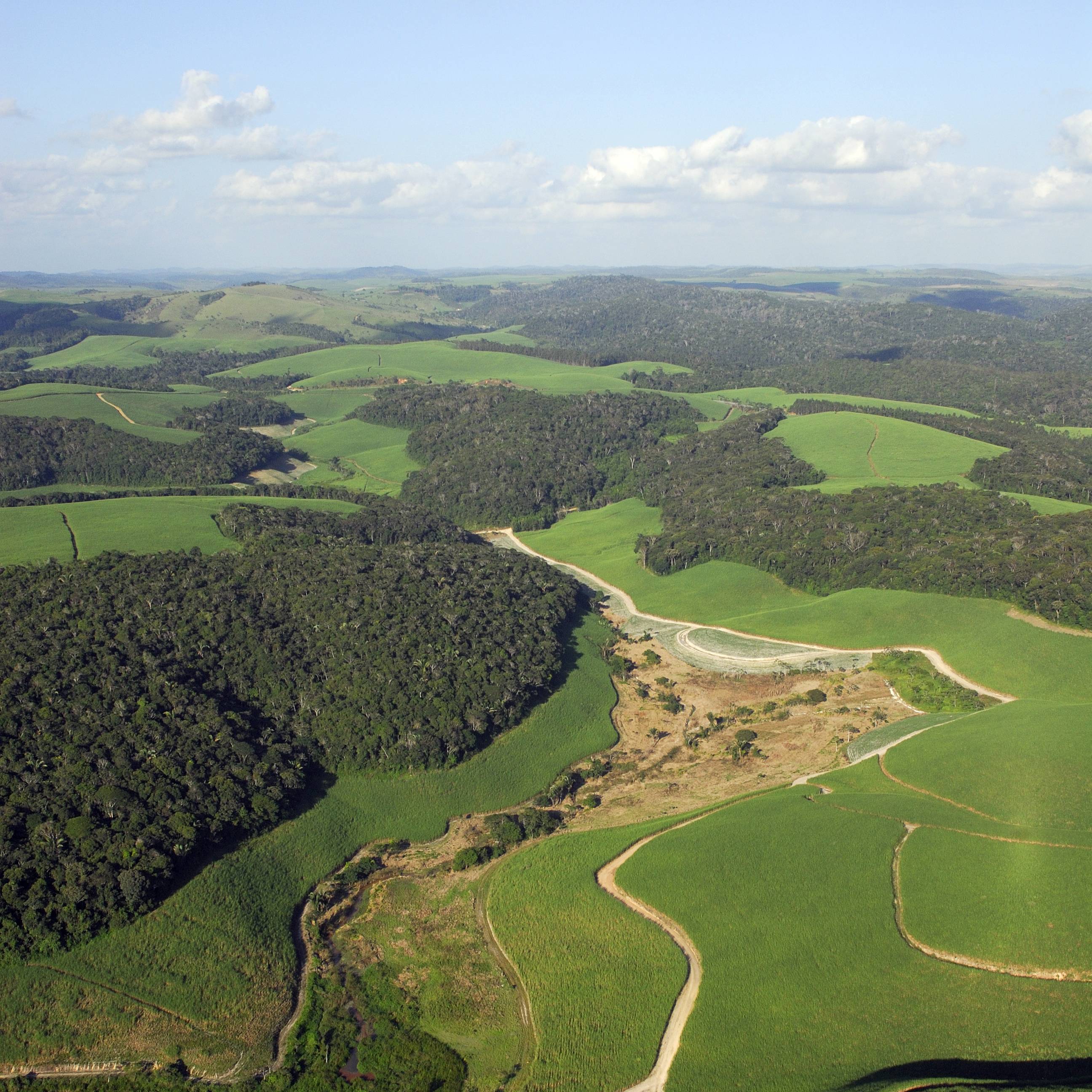 Wide drone shot overviewing large farm landscape.