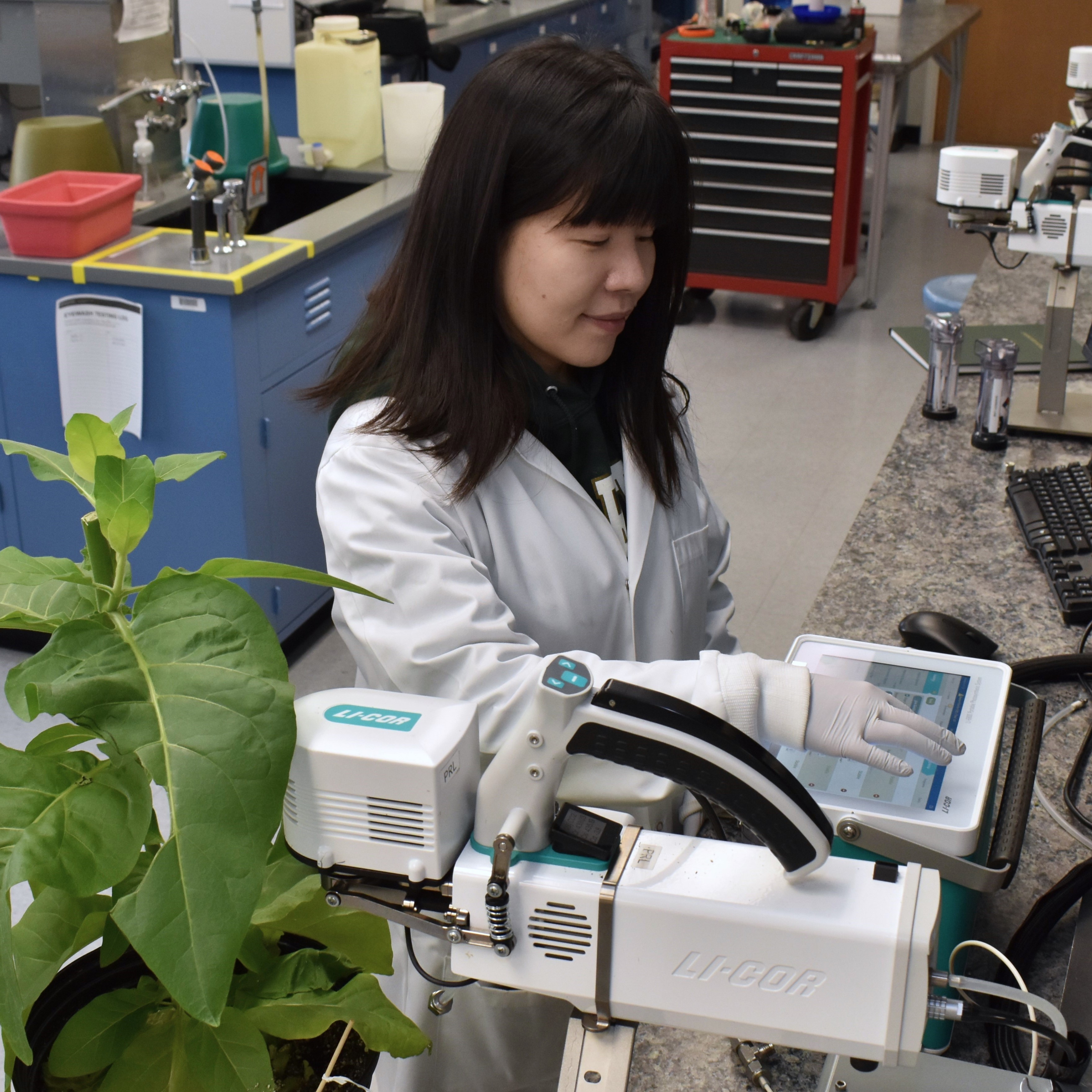 A person in a lab coat uses a machine that is clamped onto the leaf of a plant.