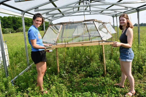 Open top chambers beneath rainout shelters at Kellogg Biological Station LTER with members of the MSU SpaCE Lab, Kara Dobson (right) and Moriah Young (left).